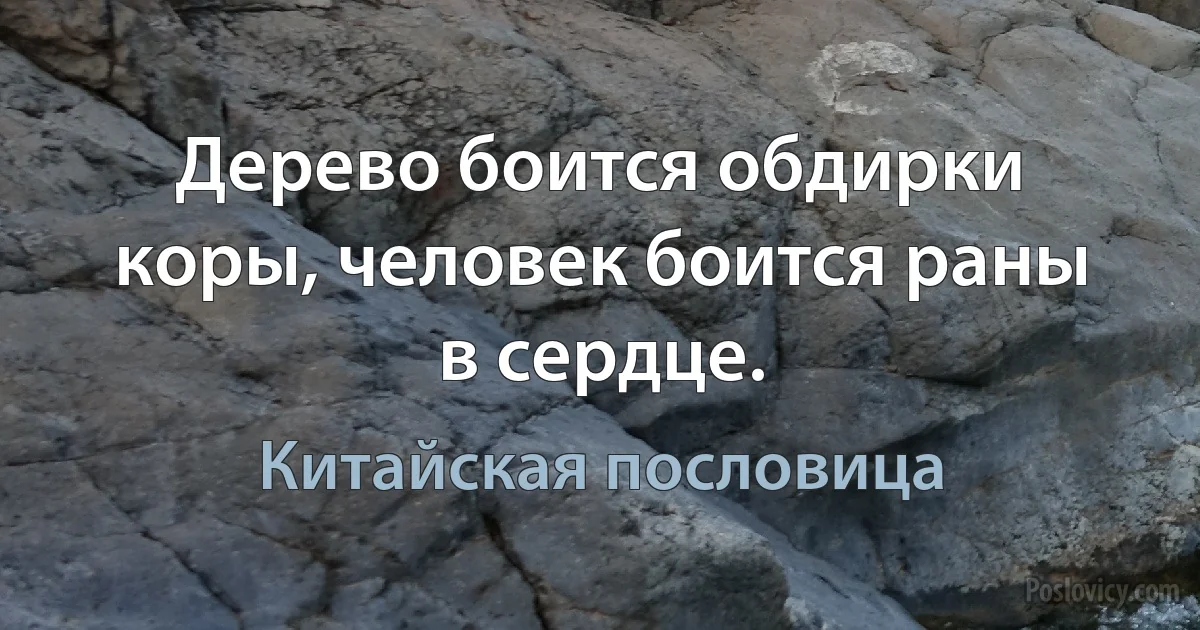 Дерево боится обдирки коры, человек боится раны в сердце. (Китайская пословица)