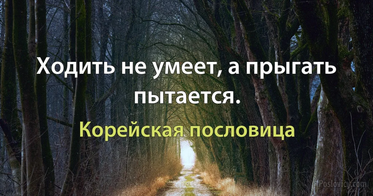 Ходить не умеет, а прыгать пытается. (Корейская пословица)