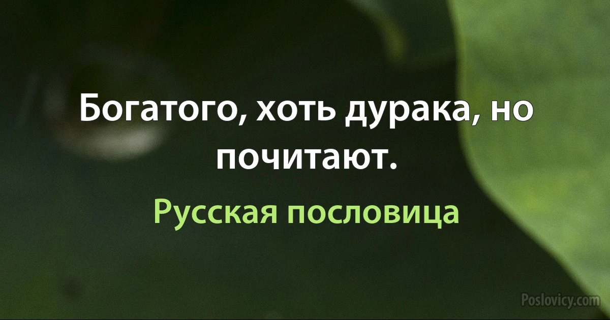 Богатого, хоть дурака, но почитают. (Русская пословица)