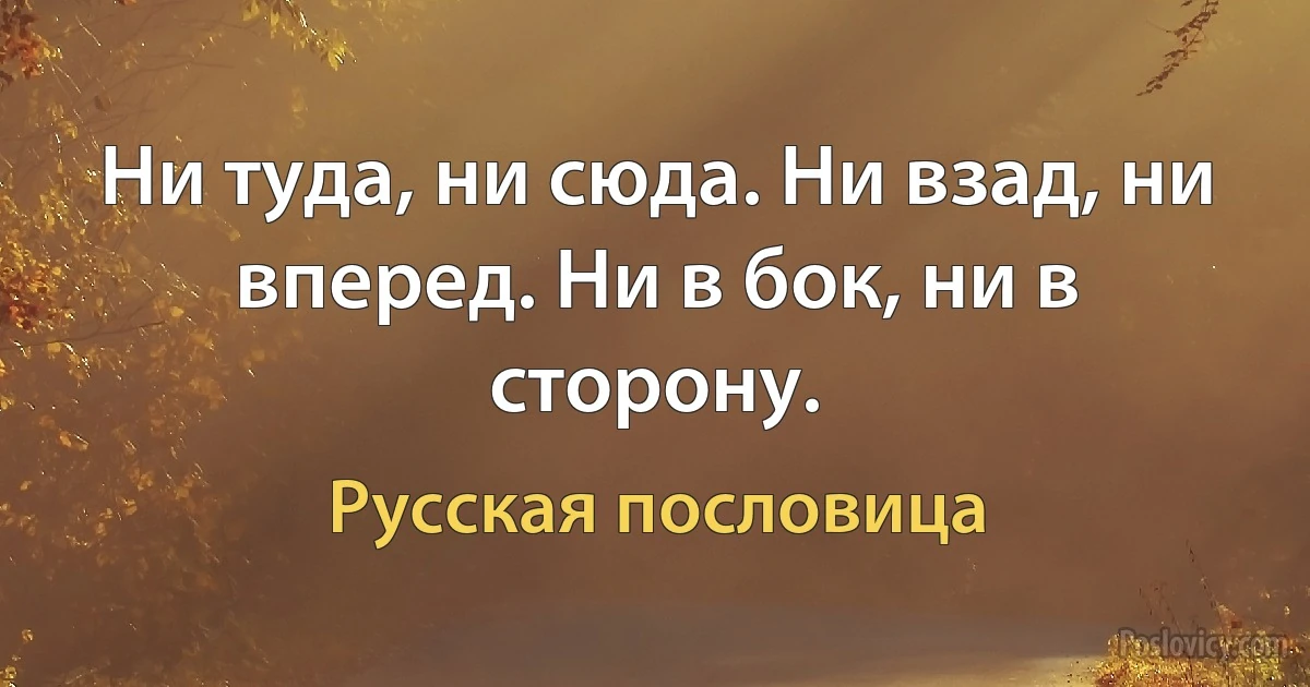 Ни туда, ни сюда. Ни взад, ни вперед. Ни в бок, ни в сторону. (Русская пословица)