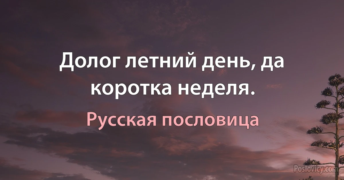 Долог летний день, да коротка неделя. (Русская пословица)