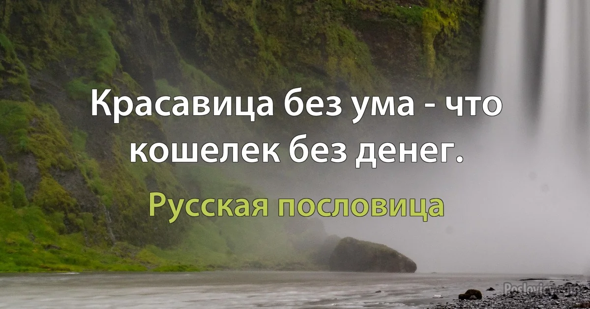 Красавица без ума - что кошелек без денег. (Русская пословица)