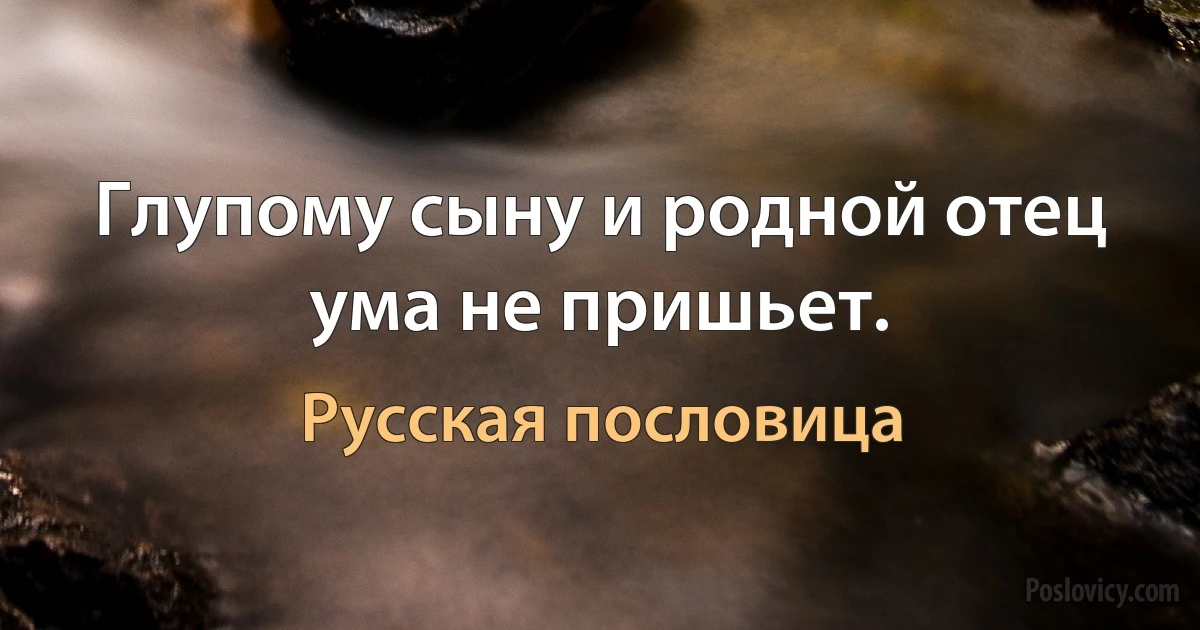 Глупому сыну и родной отец ума не пришьет. (Русская пословица)