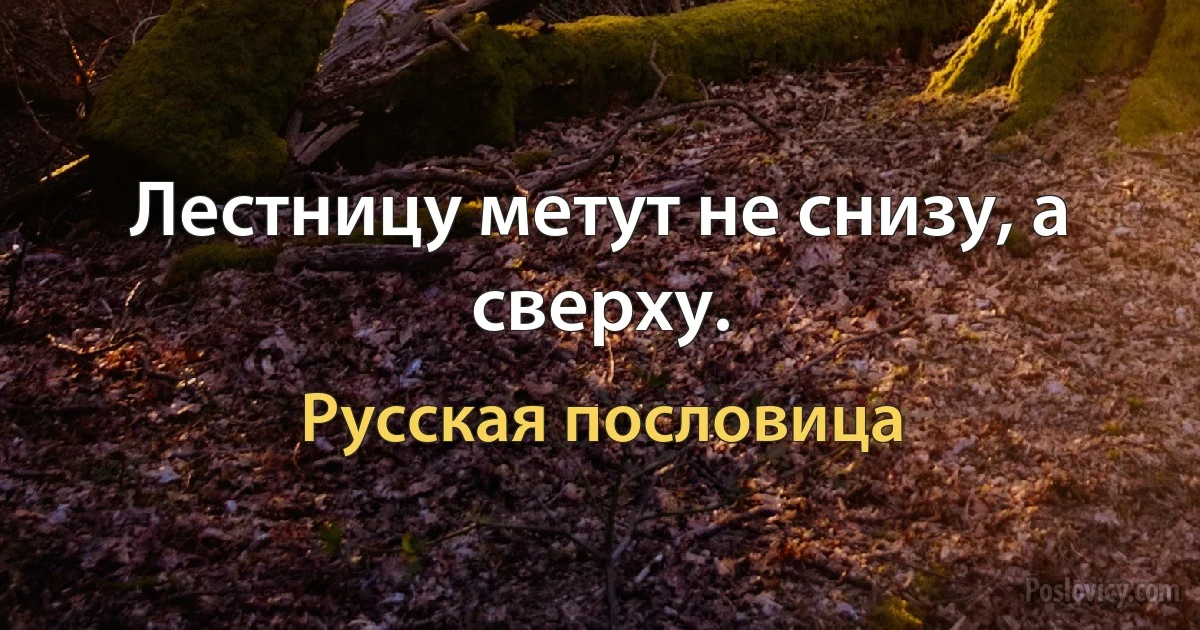 Лестницу метут не снизу, а сверху. (Русская пословица)