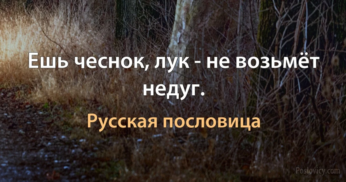 Ешь чеснок, лук - не возьмёт недуг. (Русская пословица)