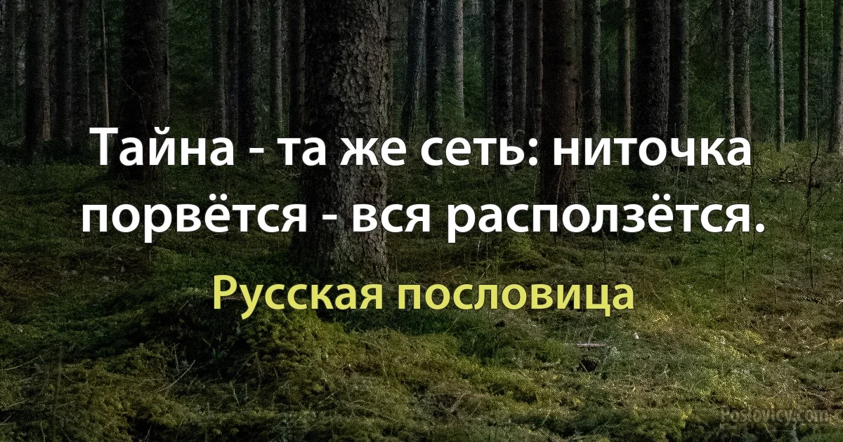 Тайна - та же сеть: ниточка порвётся - вся расползётся. (Русская пословица)