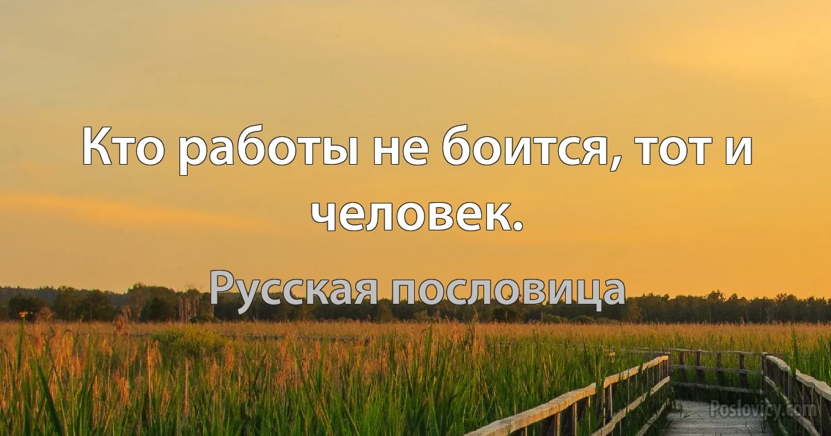 Кто работы не боится, тот и человек. (Русская пословица)