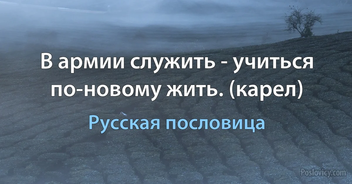 В армии служить - учиться по-новому жить. (карел) (Русская пословица)