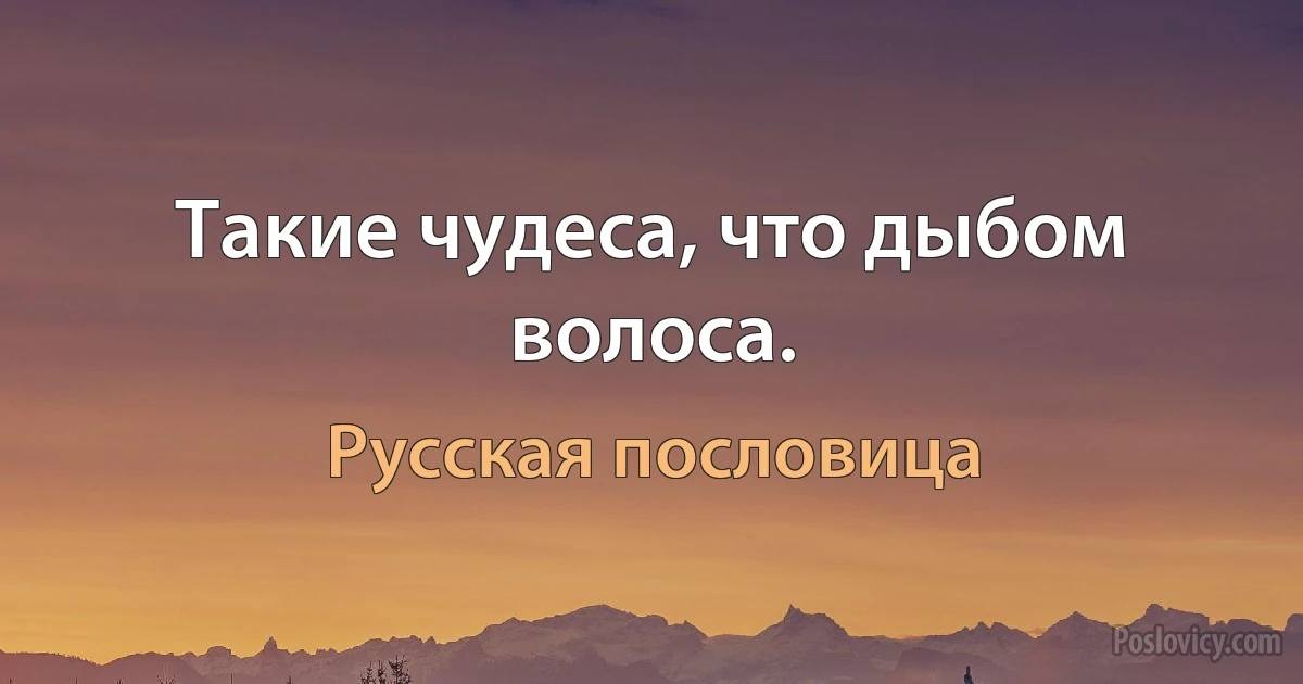 Такие чудеса, что дыбом волоса. (Русская пословица)