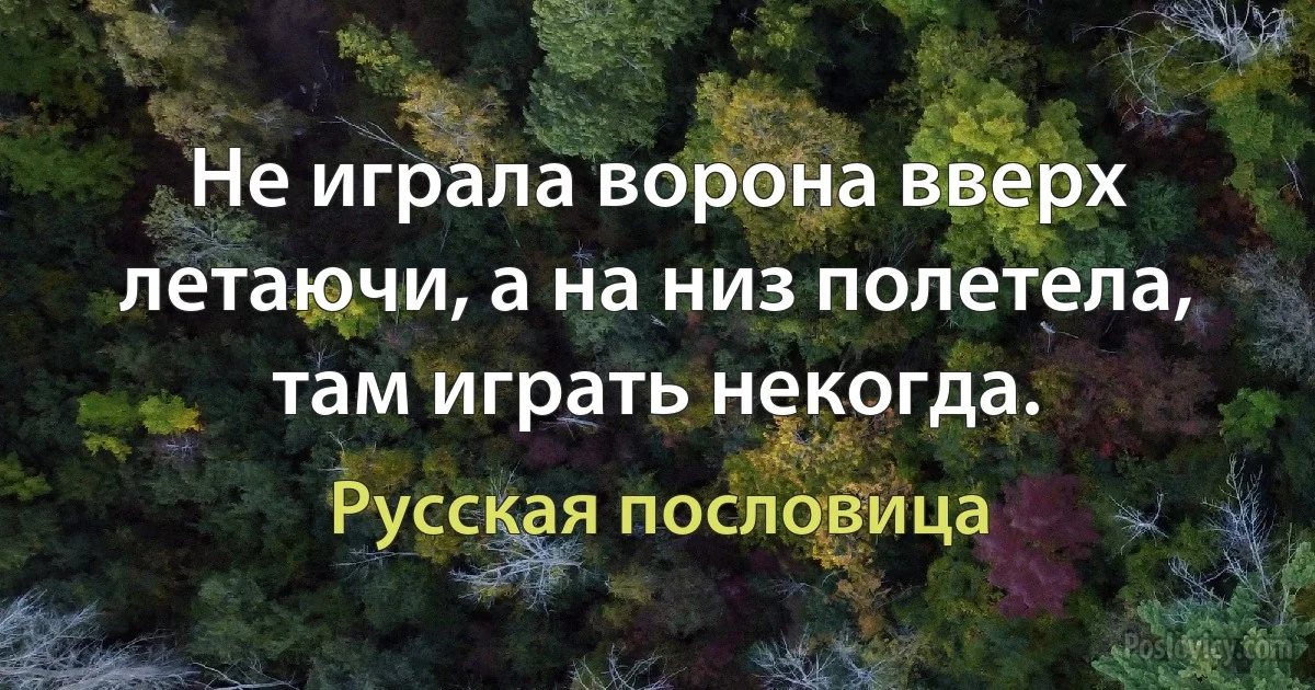 Не играла ворона вверх летаючи, а на низ полетела, там играть некогда. (Русская пословица)