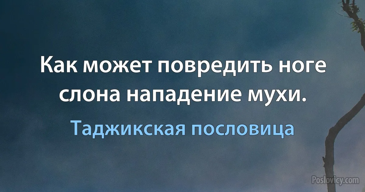 Как может повредить ноге слона нападение мухи. (Таджикская пословица)