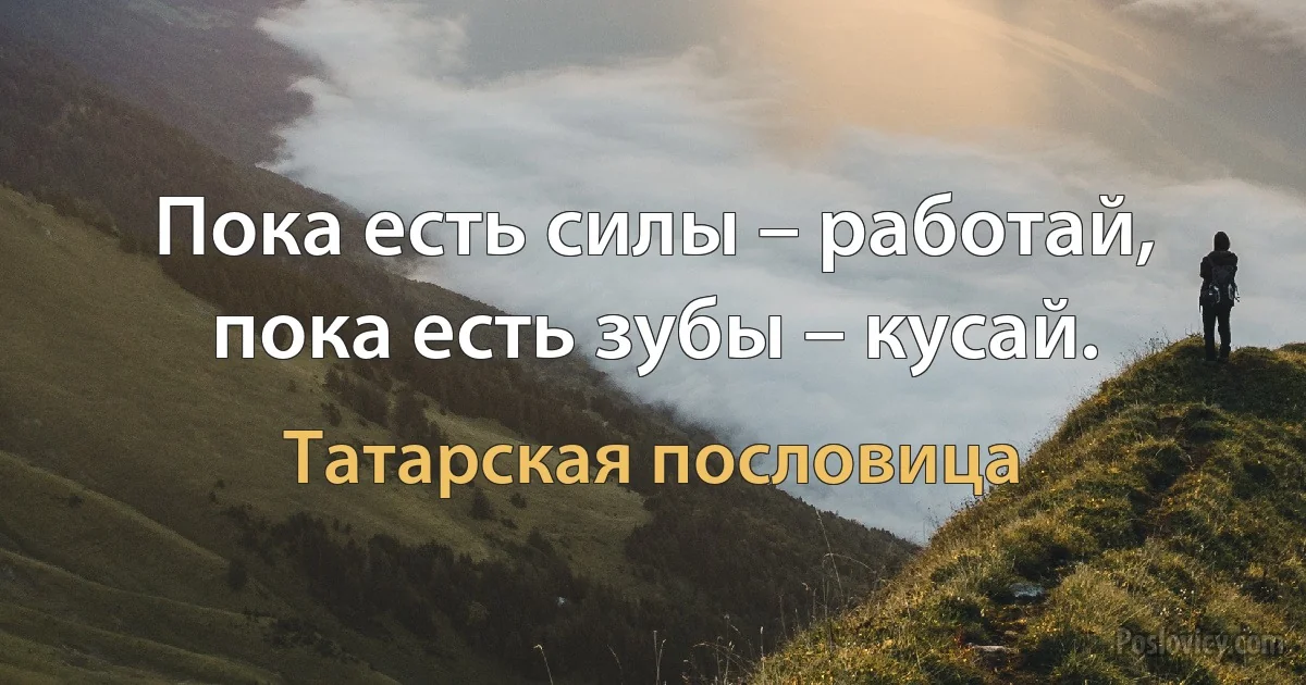 Пока есть силы – работай, пока есть зубы – кусай. (Татарская пословица)