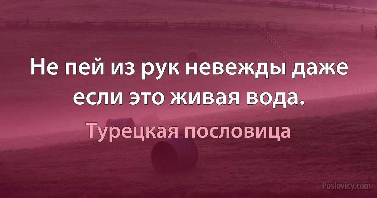 Не пей из рук невежды даже если это живая вода. (Турецкая пословица)