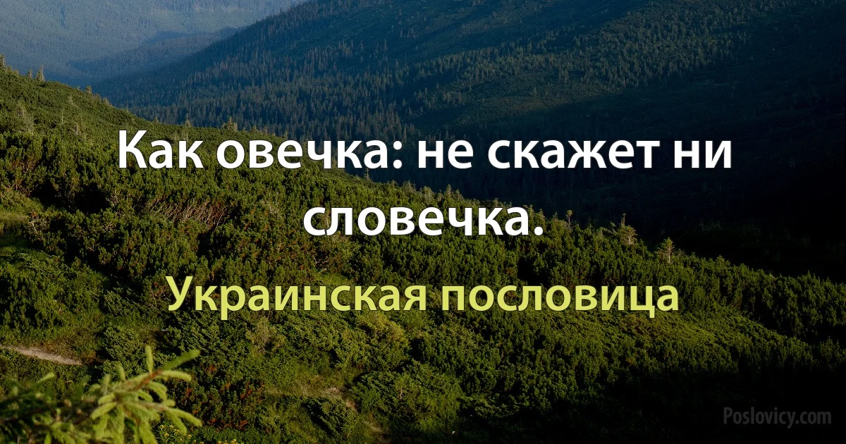 Как овечка: не скажет ни словечка. (Украинская пословица)