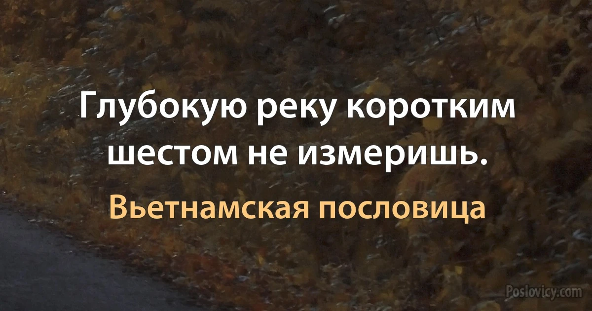 Глубокую реку коротким шестом не измеришь. (Вьетнамская пословица)