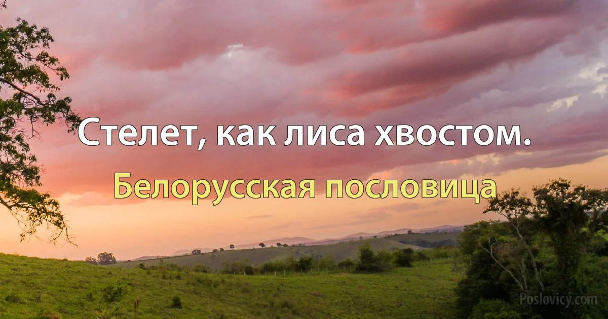 Стелет, как лиса хвостом. (Белорусская пословица)