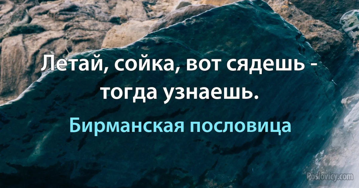 Летай, сойка, вот сядешь - тогда узнаешь. (Бирманская пословица)