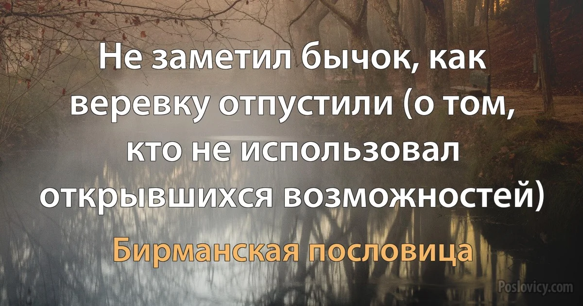 Не заметил бычок, как веревку отпустили (о том, кто не использовал открывшихся возможностей) (Бирманская пословица)