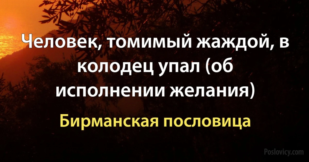 Человек, томимый жаждой, в колодец упал (об исполнении желания) (Бирманская пословица)