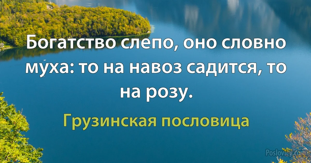 Богатство слепо, оно словно муха: то на навоз садится, то на розу. (Грузинская пословица)