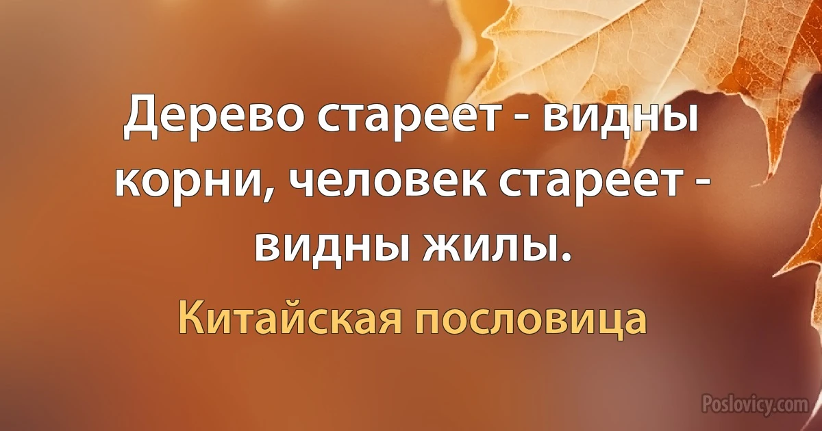 Дерево стареет - видны корни, человек стареет - видны жилы. (Китайская пословица)