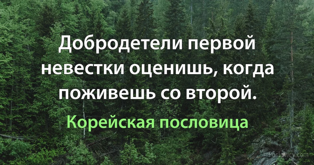 Добродетели первой невестки оценишь, когда поживешь со второй. (Корейская пословица)