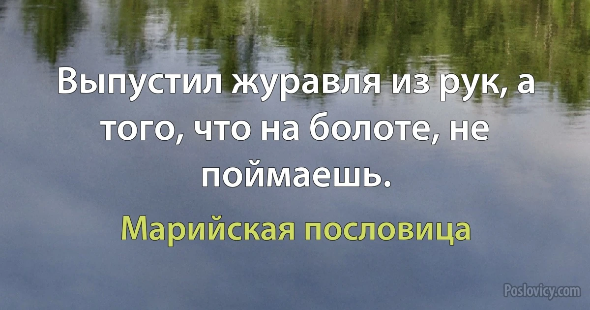 Выпустил журавля из рук, а того, что на болоте, не поймаешь. (Марийская пословица)