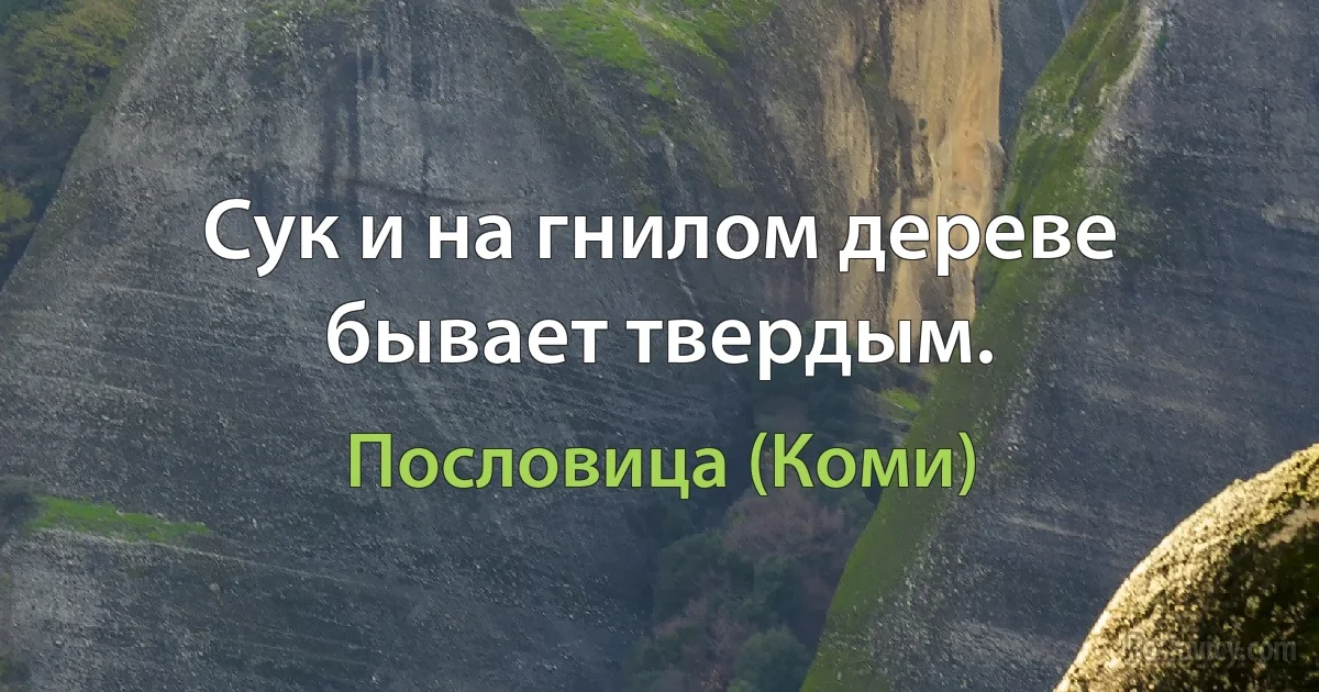 Сук и на гнилом дереве бывает твердым. (Пословица (Коми))