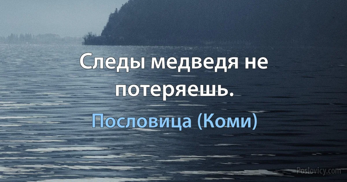 Следы медведя не потеряешь. (Пословица (Коми))