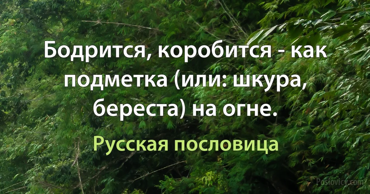 Бодрится, коробится - как подметка (или: шкура, береста) на огне. (Русская пословица)