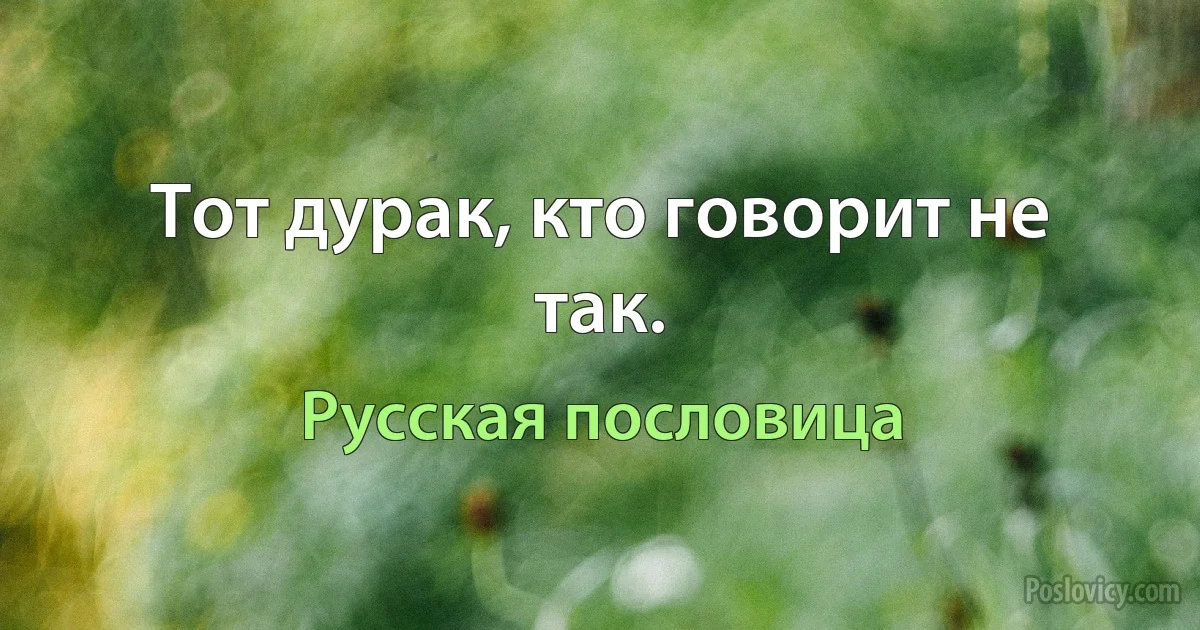 Тот дурак, кто говорит не так. (Русская пословица)