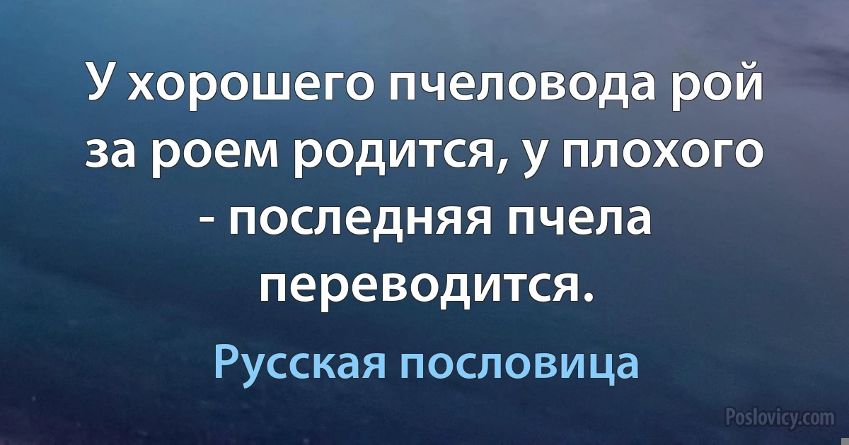 У хорошего пчеловода рой за роем родится, у плохого - последняя пчела переводится. (Русская пословица)