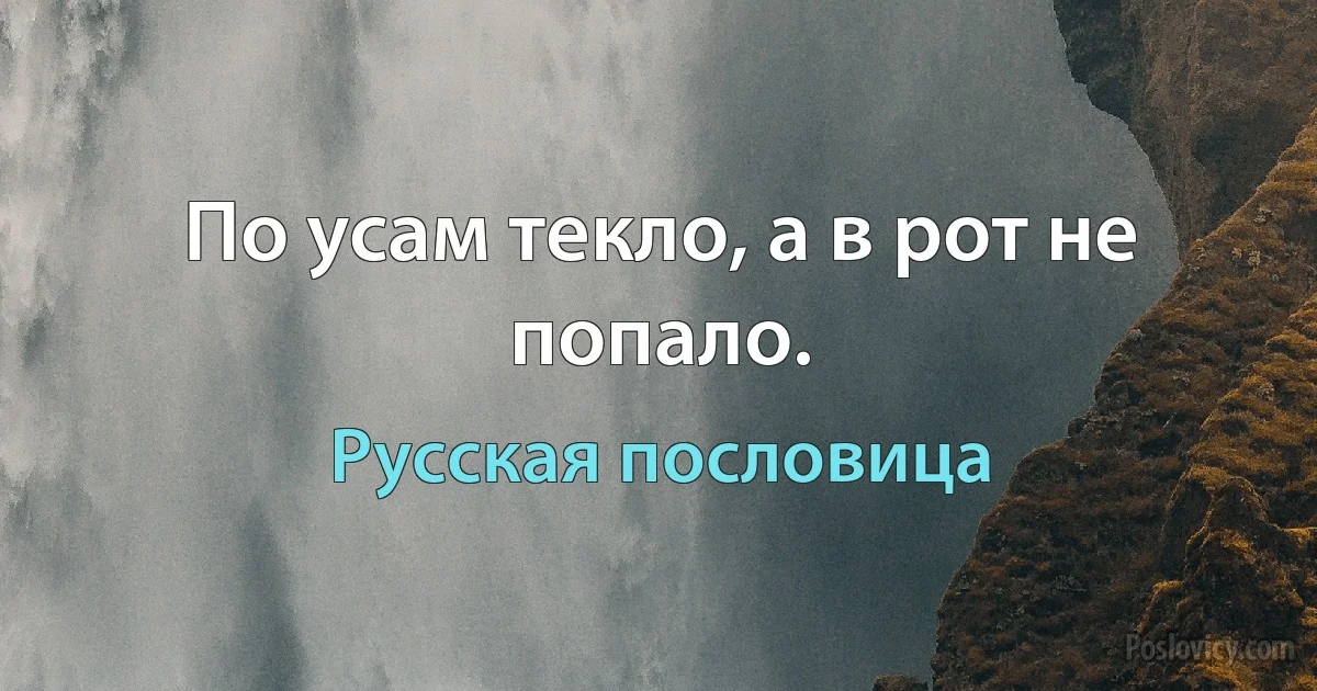 По усам текло, а в рот не попало. (Русская пословица)