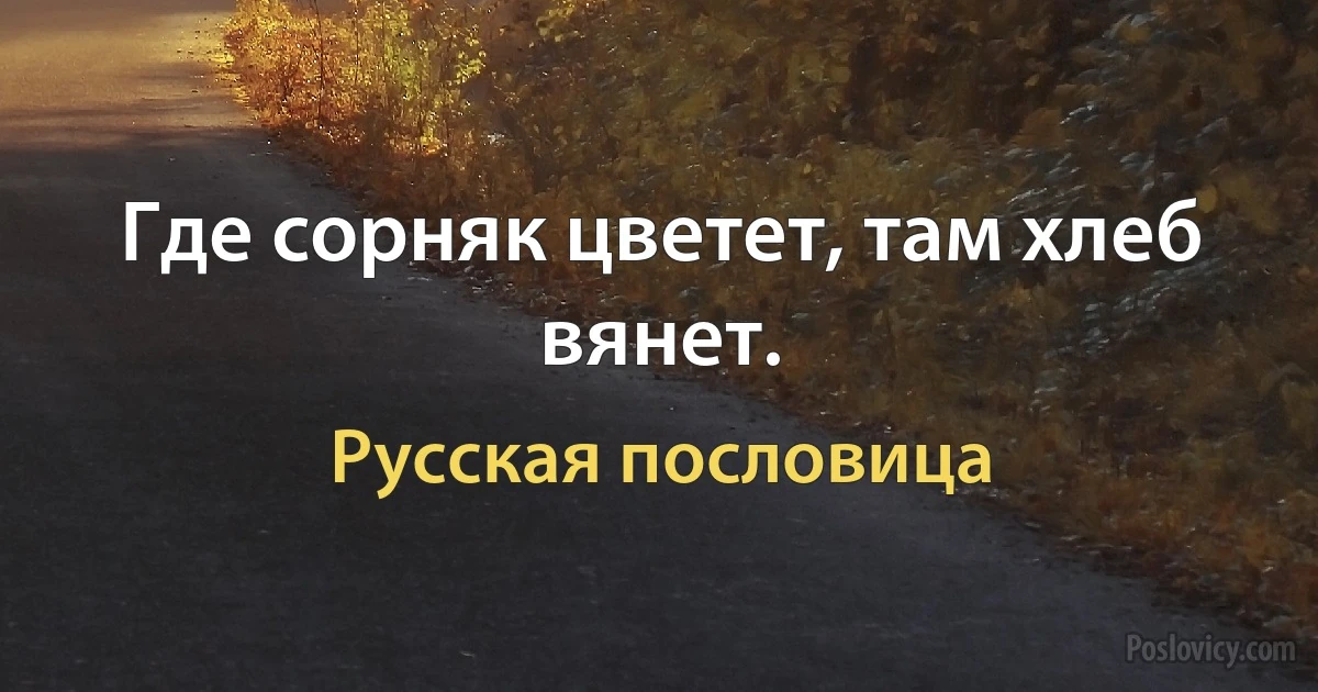 Где сорняк цветет, там хлеб вянет. (Русская пословица)