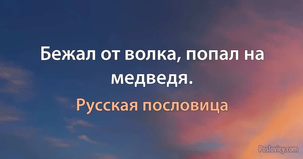 Бежал от волка, попал на медведя. (Русская пословица)