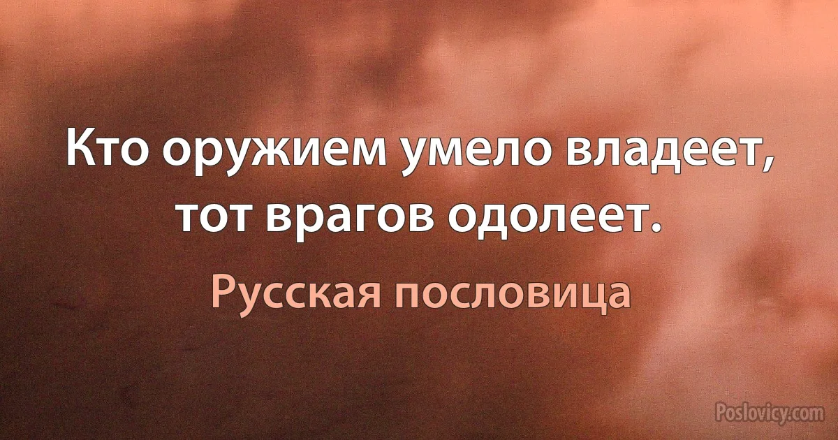 Кто оружием умело владеет, тот врагов одолеет. (Русская пословица)