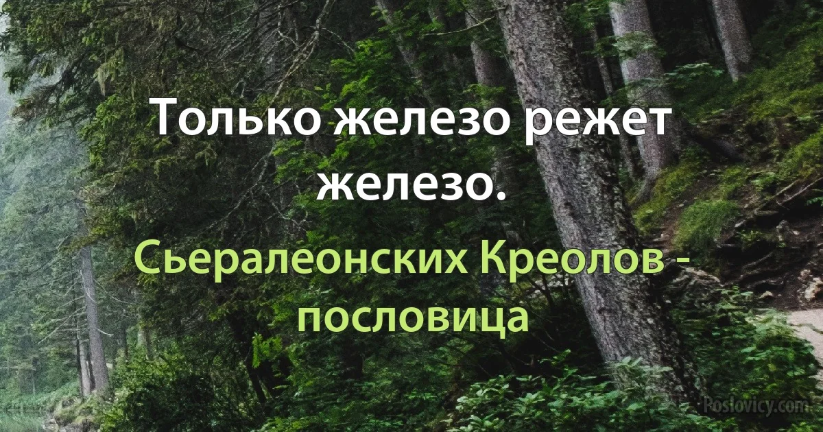 Только железо режет железо. (Сьералеонских Креолов - пословица)