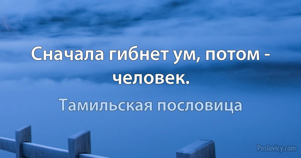 Сначала гибнет ум, потом - человек. (Тамильская пословица)