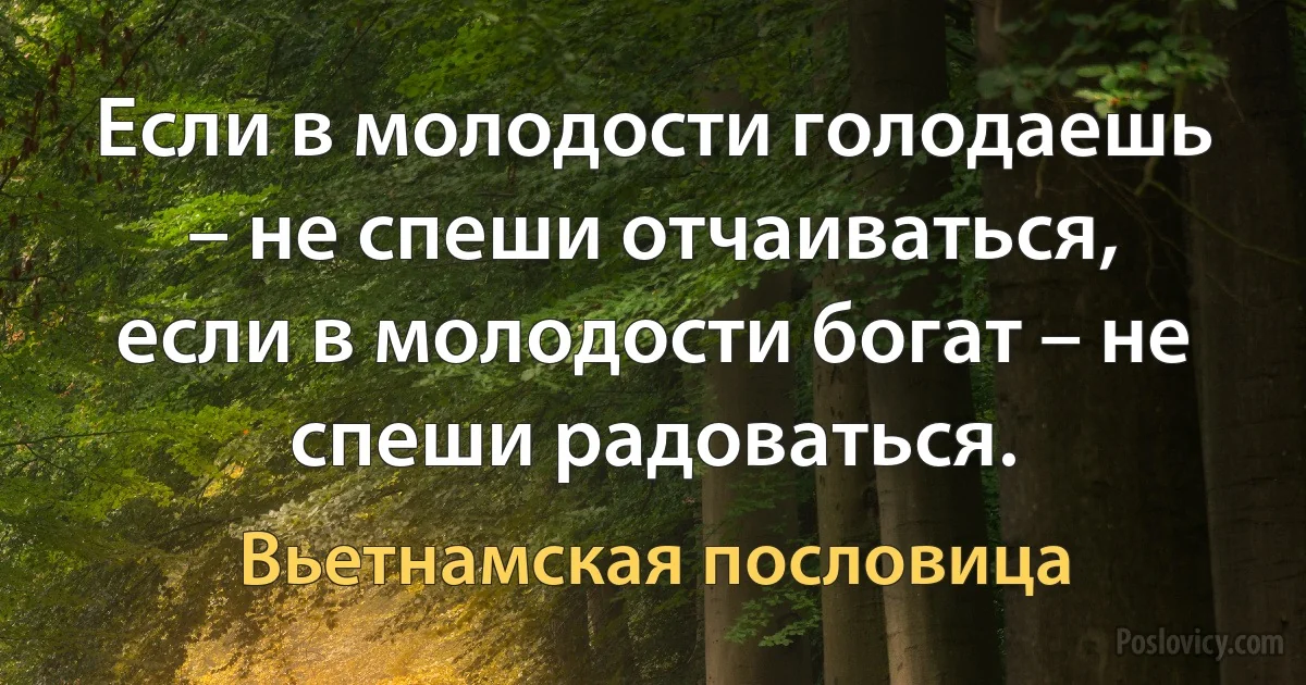 Если в молодости голодаешь – не спеши отчаиваться, если в молодости богат – не спеши радоваться. (Вьетнамская пословица)