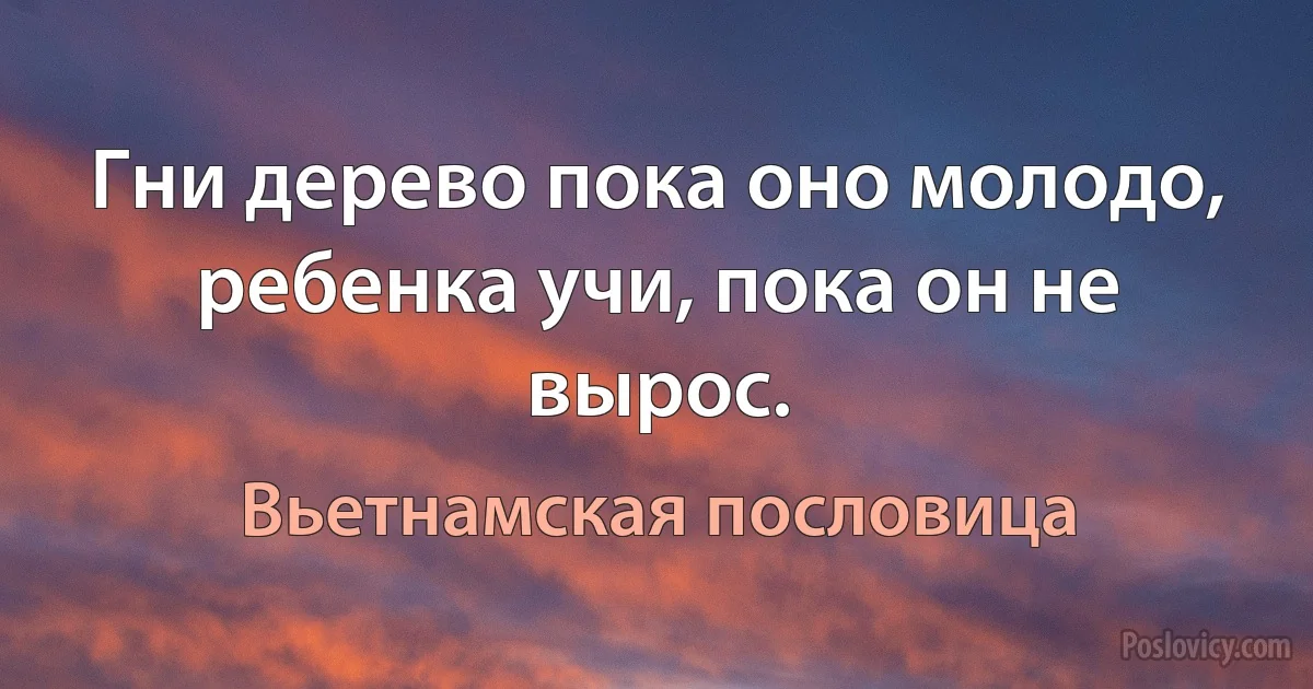 Гни дерево пока оно молодо, ребенка учи, пока он не вырос. (Вьетнамская пословица)