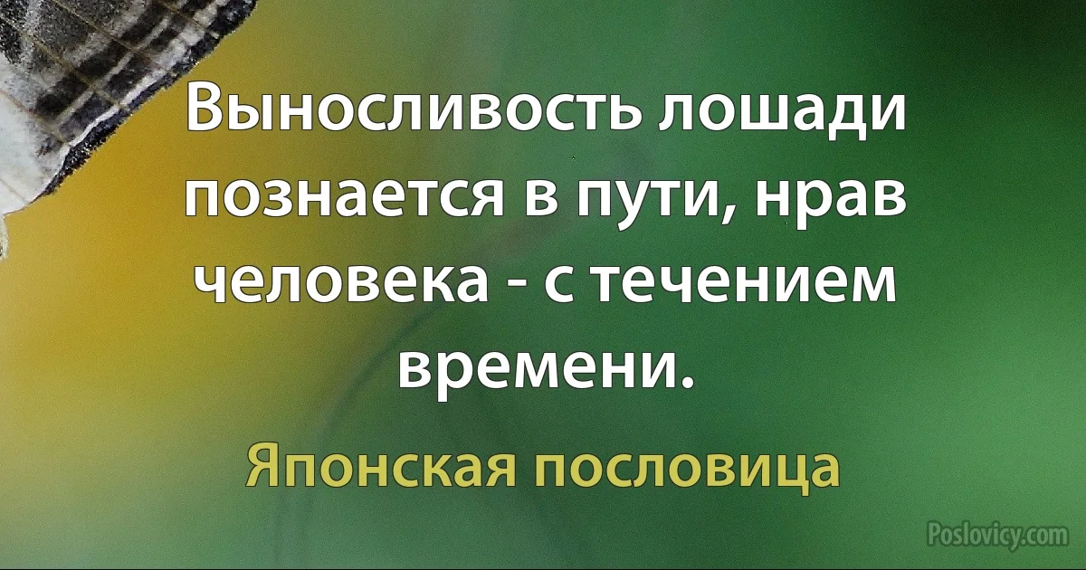 Выносливость лошади познается в пути, нрав человека - с течением времени. (Японская пословица)