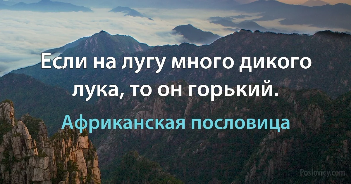 Если на лугу много дикого лука, то он горький. (Африканская пословица)