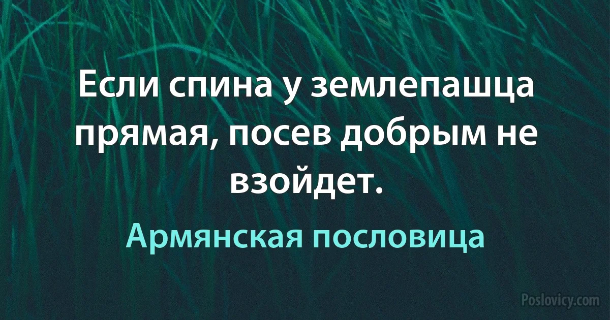 Если спина у землепашца прямая, посев добрым не взойдет. (Армянская пословица)