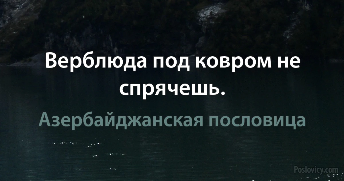 Верблюда под ковром не спрячешь. (Азербайджанская пословица)