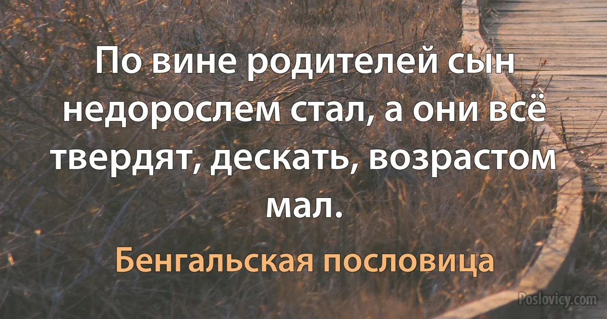 По вине родителей сын недорослем стал, а они всё твердят, дескать, возрастом мал. (Бенгальская пословица)