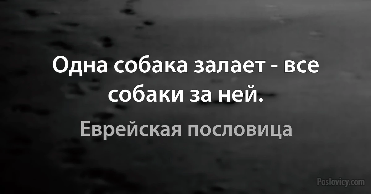 Одна собака залает - все собаки за ней. (Еврейская пословица)