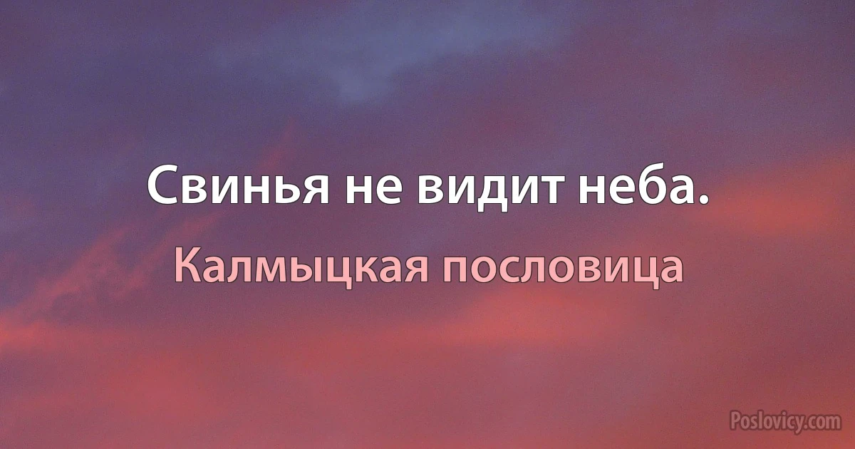 Свинья не видит неба. (Калмыцкая пословица)