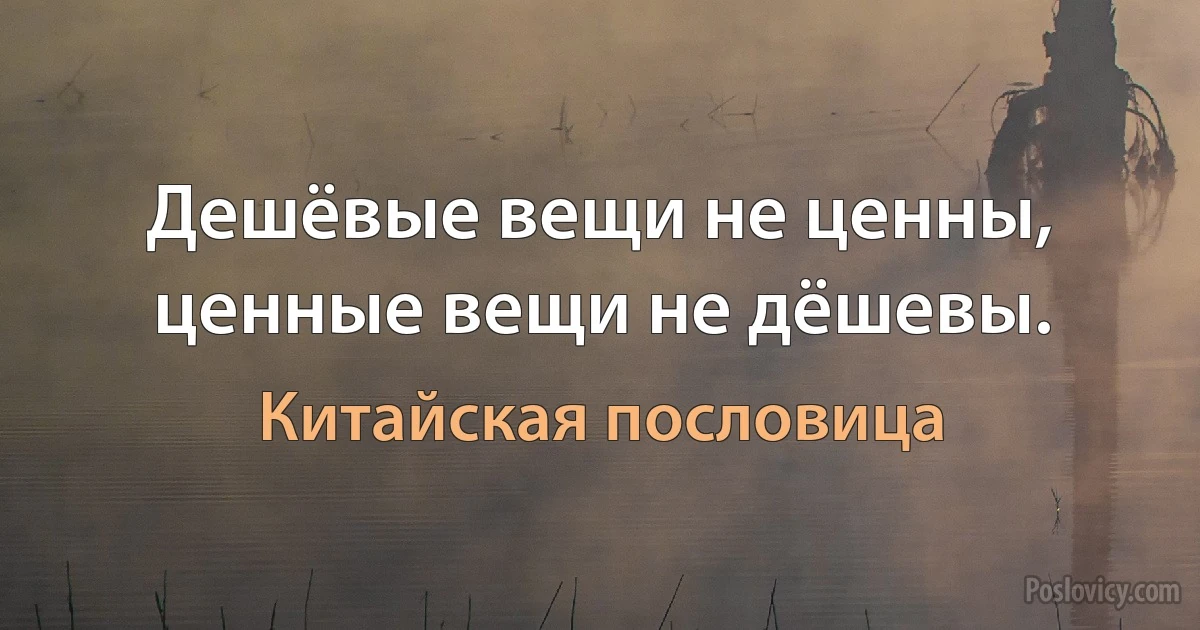 Дешёвые вещи не ценны, ценные вещи не дёшевы. (Китайская пословица)