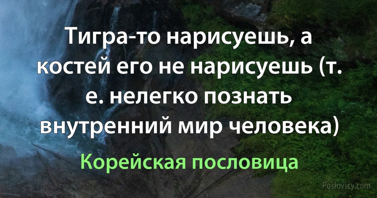 Тигра-то нарисуешь, а костей его не нарисуешь (т. е. нелегко познать внутренний мир человека) (Корейская пословица)