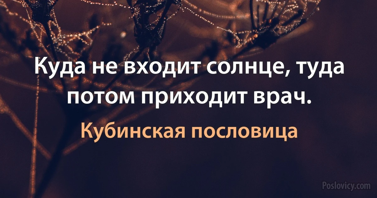 Куда не входит солнце, туда потом приходит врач. (Кубинская пословица)